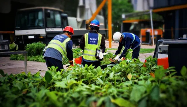 成果转化设计中的技术适配适用情况与限制